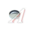 Пробка расширительная 22,5 мм (заглушка ГБЦ) ISF, ISBe, ISLe, L DCEC