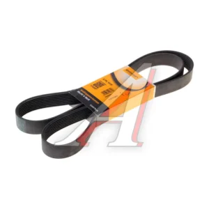 Ремень 8PK1610 Contitech