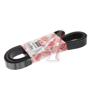 Ремень 8PK2495 ГАЗ-3302 дв. Cummins 2.8 NEXT с кондиционером Евро-4 PRAVT