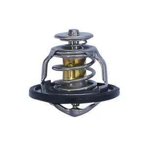 Термостат дв. FOTON 2.5 G21A